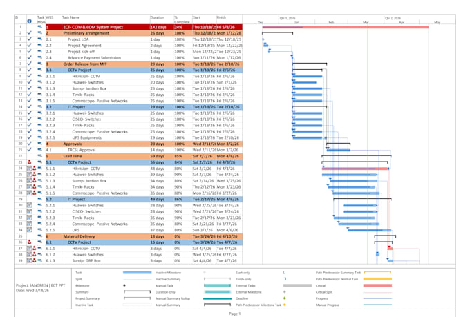 create a professional project plan